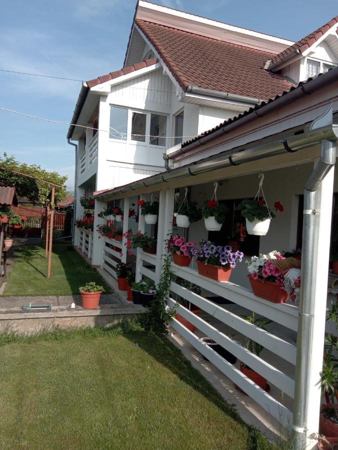 فندق Cazare Turism Prislop Haţeg المظهر الخارجي الصورة